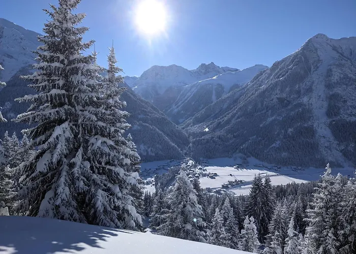 Haus Schoenblick 3* 巴赫